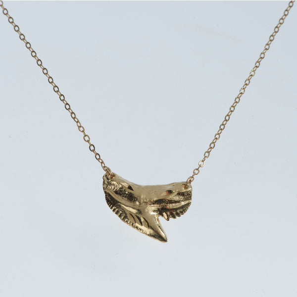 Tiger Shark Tooth Gold Necklace